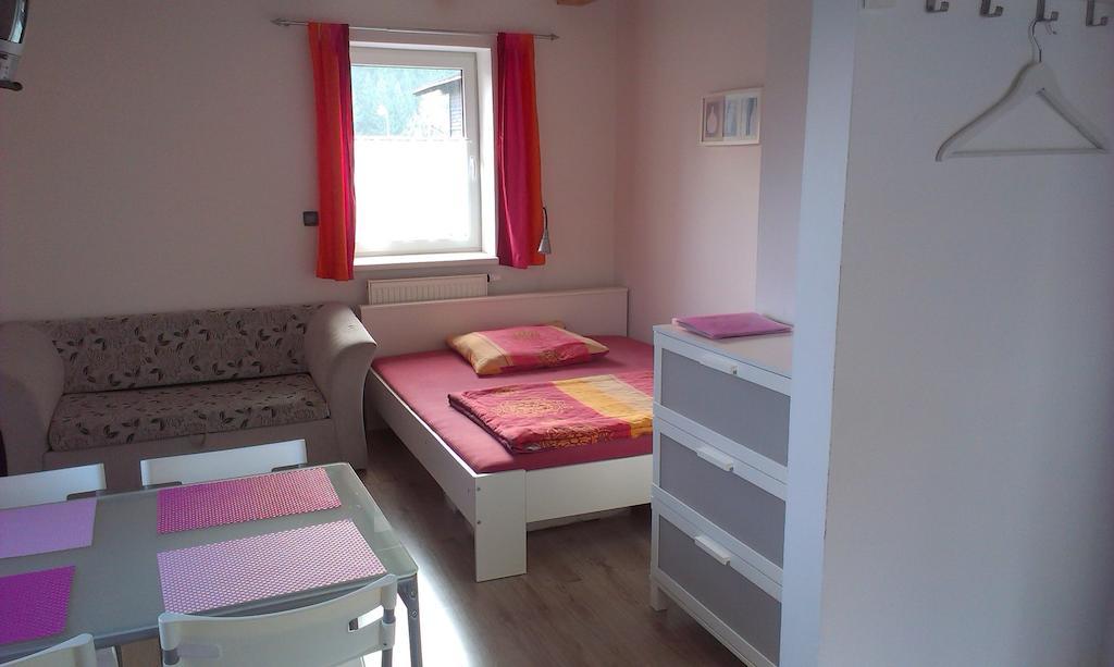 Studia Relax Apartment Zelezna Ruda Room photo